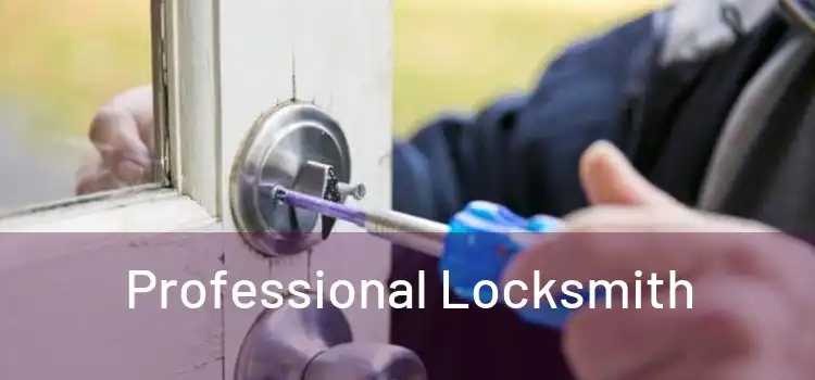  Professional Locksmith 